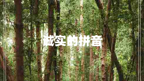 誠(chéng)實(shí)的拼音