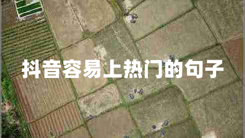 抖音容易上熱門的句子