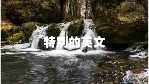 特別的英文
