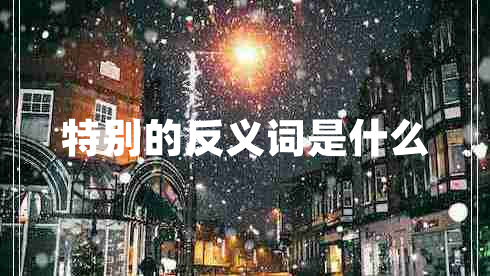 特別的反義詞是什么