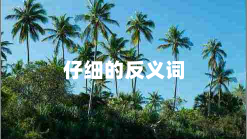 仔細(xì)的反義詞