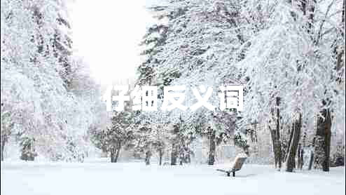 仔細(xì)反義詞