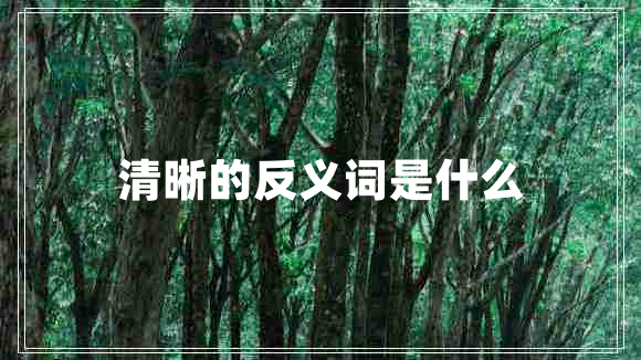 清晰的反義詞是什么