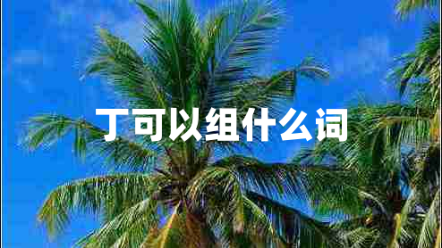 丁可以組什么詞