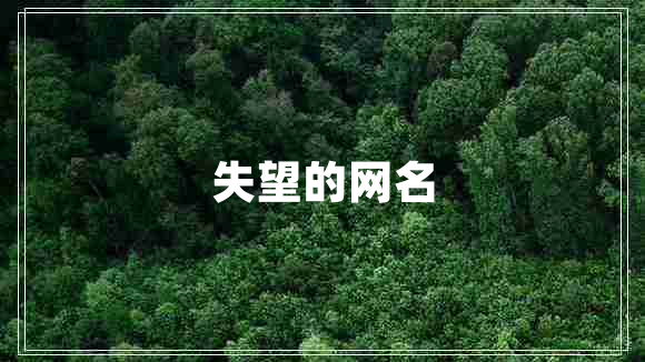 失望的網(wǎng)名