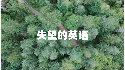 失望的英語