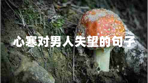 心寒對(duì)男人失望的句子