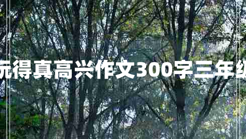 那次玩得真高興作文300字三年級上冊 那次玩得真高興作文300字三年級上冊