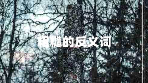 粗糙的反義詞