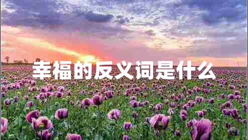 幸福的反義詞是什么