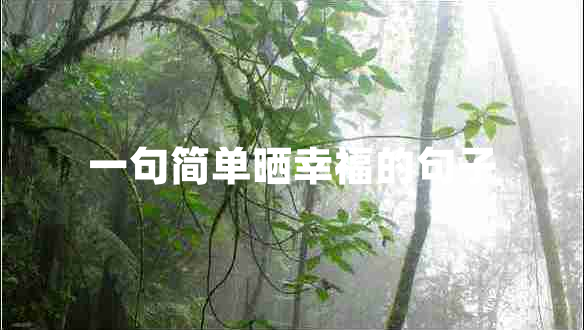 一句簡(jiǎn)單曬幸福的句子