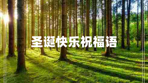 圣誕快樂祝福語