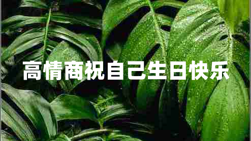高情商祝自己生日快樂 高情商祝自己生日快樂