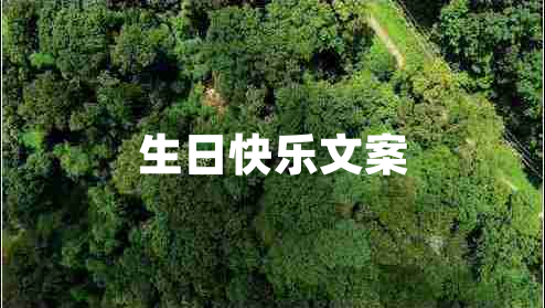 生日快樂文案 生日快樂文案