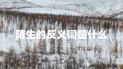 陌生的反義詞是什么