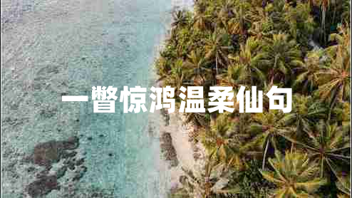 一瞥驚鴻溫柔仙句