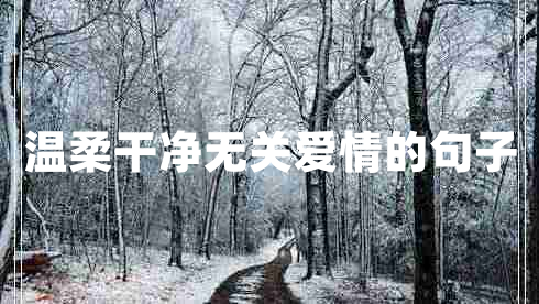 溫柔干凈無關(guān)愛情的句子