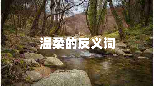 溫柔的反義詞