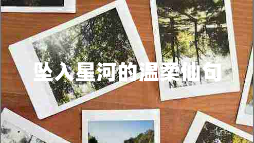 墜入星河的溫柔仙句