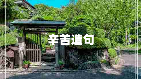 辛苦造句 辛苦造句