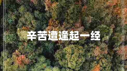 辛苦遭逢起一經(jīng)