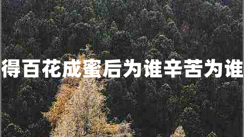 采得百花成蜜后為誰辛苦為誰甜