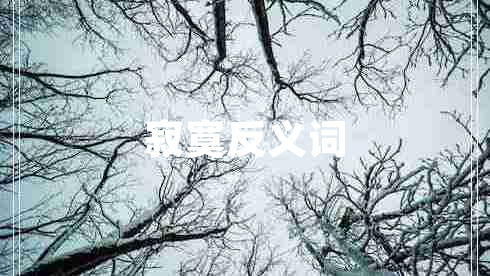 寂寞反義詞 寂寞反義詞