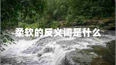 柔軟的反義詞是什么