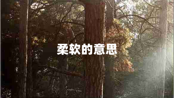 柔軟的意思 柔軟的意思