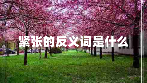 緊張的反義詞是什么