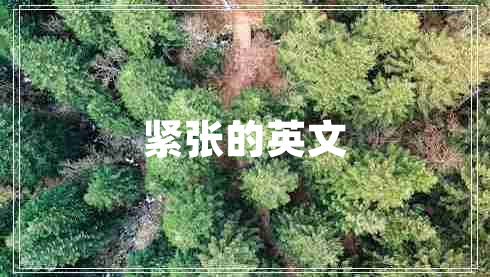 緊張的英文 緊張的英文