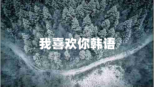 我喜歡你韓語(yǔ)