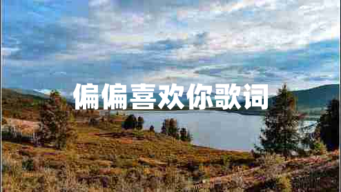 偏偏喜歡你歌詞