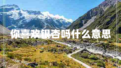 你喜歡銀杏嗎什么意思