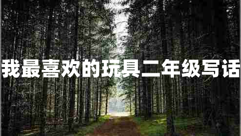 我最喜歡的玩具二年級寫話