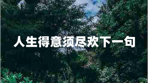 人生得意須盡歡下一句 人生得意須盡歡下一句