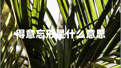 得意忘形是什么意思