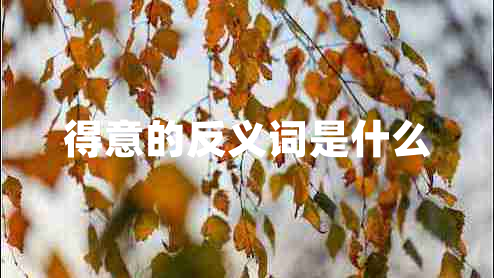 得意的反義詞是什么