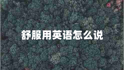 舒服用英語怎么說