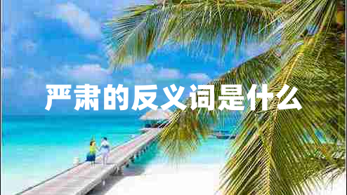 嚴(yán)肅的反義詞是什么