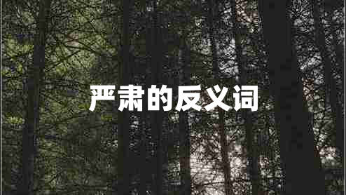 嚴(yán)肅的反義詞 嚴(yán)肅的反義詞