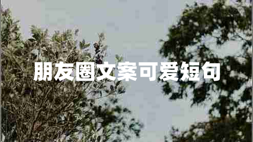 朋友圈文案可愛短句