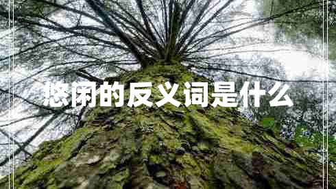 悠閑的反義詞是什么