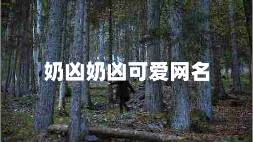 奶兇奶兇可愛網(wǎng)名