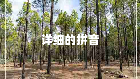 詳細(xì)的拼音