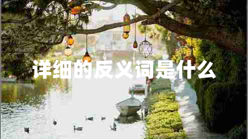 詳細(xì)的反義詞是什么