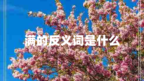 滿的反義詞是什么