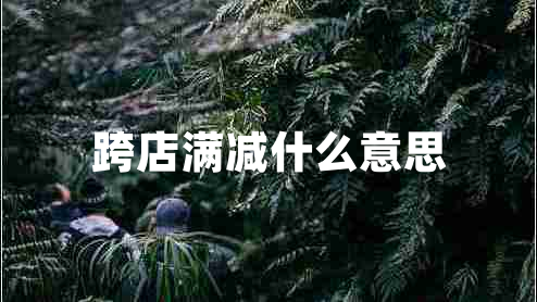 跨店滿減什么意思 跨店滿減什么意思