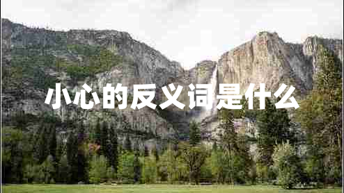 小心的反義詞是什么