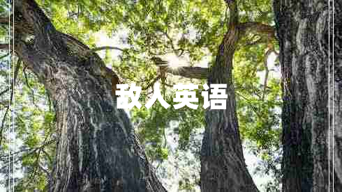 敵人英語 敵人英語